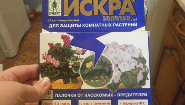 Спасаем растения от щитовки: лучшие готовые препараты и народные средства, советы по борьбе с вредителем