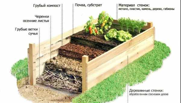 5 идей из чего сделать компостную яму и правила расположения на участке