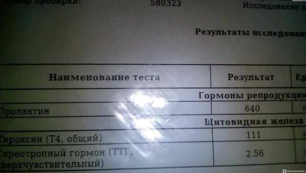 Пролактин повышен у женщины, что делать? Пролактин повышен у мужчин, бросает в жар – почему?