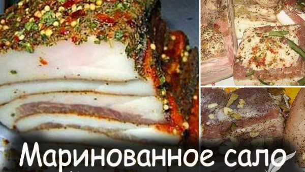 Маринованное сало – натурально! Как мариновать сало в домашних условиях с уксусом, сахаром, чесноком, по-корейски