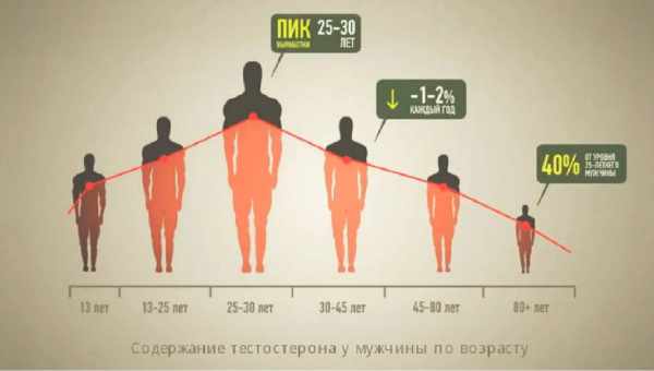 Свободный тестостерон - норма у женщин