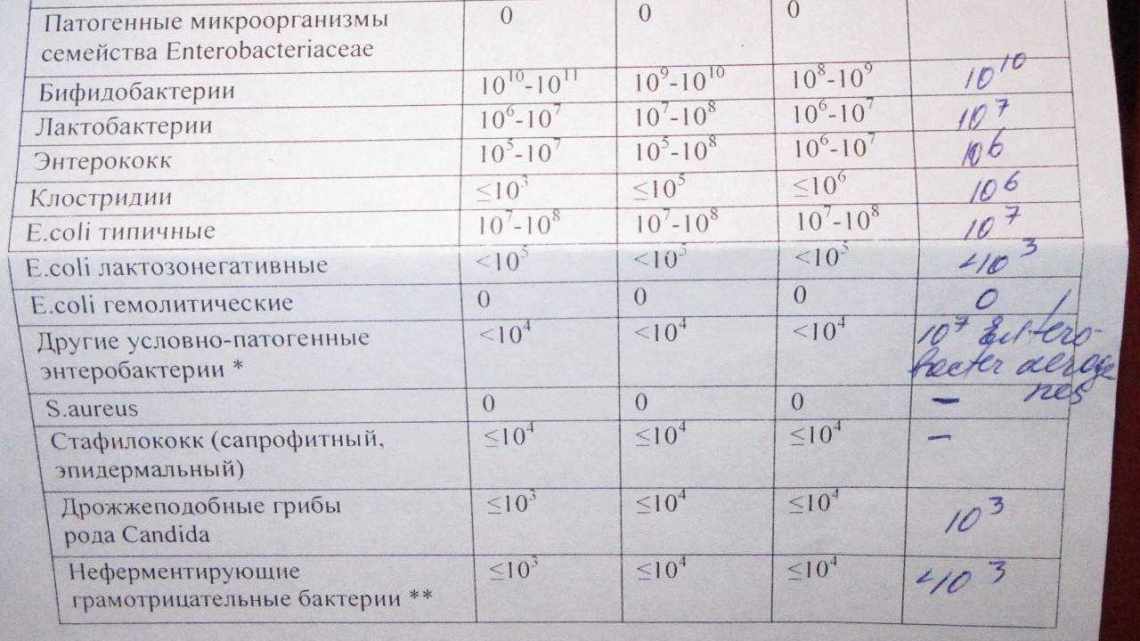 Йодофильная флора в кале у ребенка