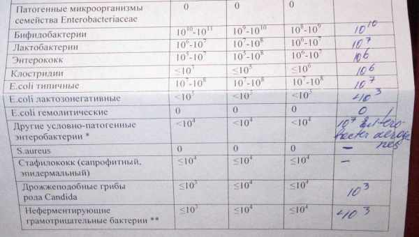 Йодофильная флора в кале у ребенка