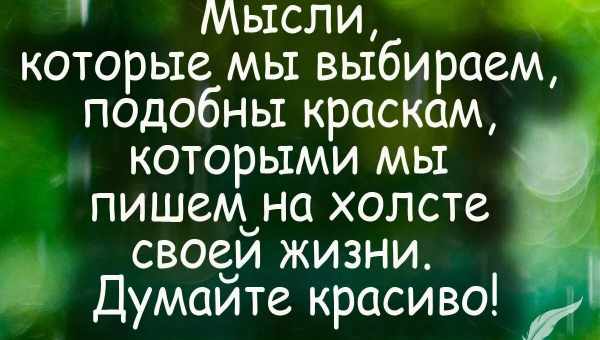 Что говорил Сенека о мышлении богачей: мудрая цитата, которая многое объясняет в нашей жизни