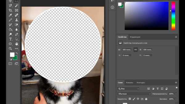 Как вырезать любые объекты в Adobe Photoshop