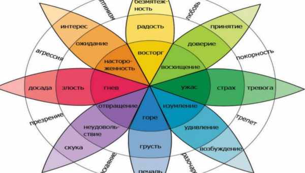 Базовые эмоции по Изарду