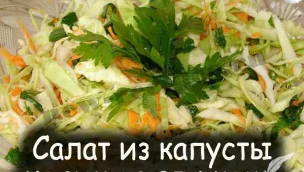 Салаты на зиму из огурцов и капусты самые вкусные рецепты с фото