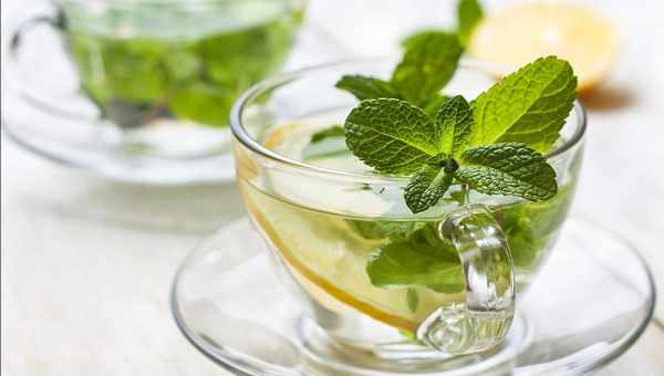 Зеленый чай с мятой перечной – свойства и область применения
