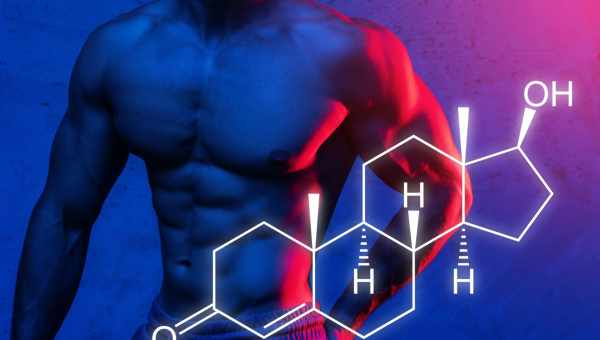 Тестостерон - мужской половой гормон – тоже андроген