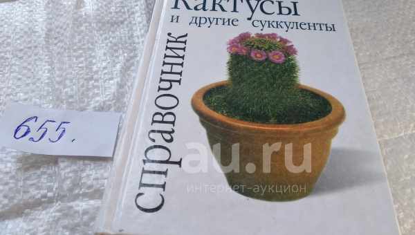 Исчерпывающее руководство по уходу за монстерой в домашних условиях