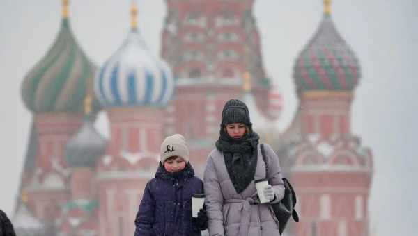 До наступления морозов можно еще успеть вырастить урожай в теплице — рассказываем, что лучше посадить