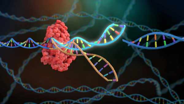 CRISPR активировали в опухоли теплом и светом