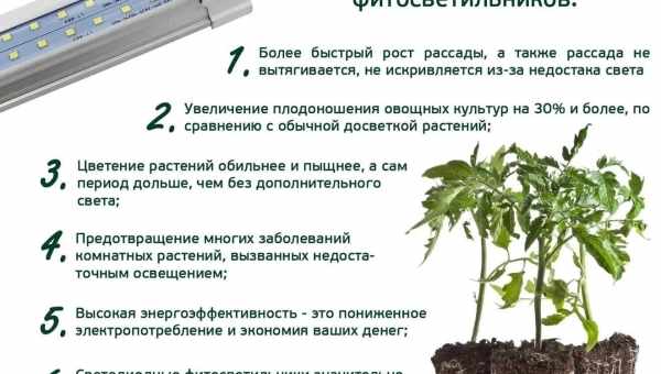 Сжатый свет улучшил свойства гравитационных антенн