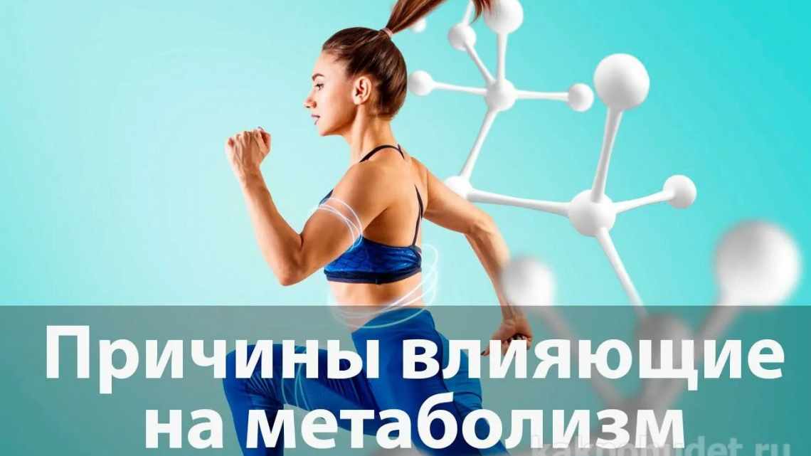 Низкая скорость метаболизма защитила моллюсков от вымирания