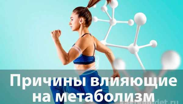 Низкая скорость метаболизма защитила моллюсков от вымирания