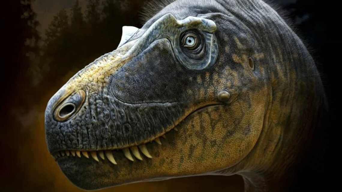 Кто ближайший живой родственник динозавра T-Rex? 5 интересных фактов, которые вас точно удивят