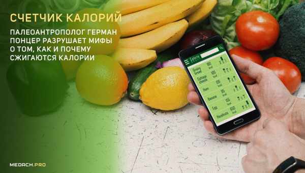 Как считать калорийность продуктов и потреблять норму: полезная привычка для тех, кто хочет жить дольше