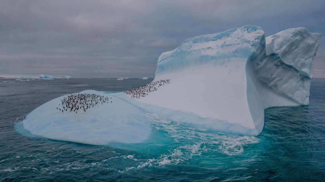 Между Антарктидой и Тихим океаном существует загадочная связь