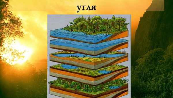 Раскрыт механизм образования каменного угля