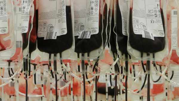 Замороженная кровь для переливания помогла детям выжить не хуже свежей
