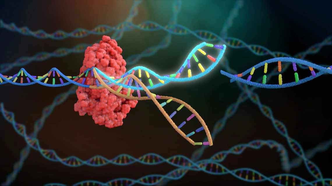 Американцы впервые использовали CRISPR для лечения генетического заболевания