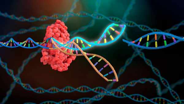 Терапия CRISPR/Cas помогла двум пациентам с дистрофией сетчатки увидеть свет