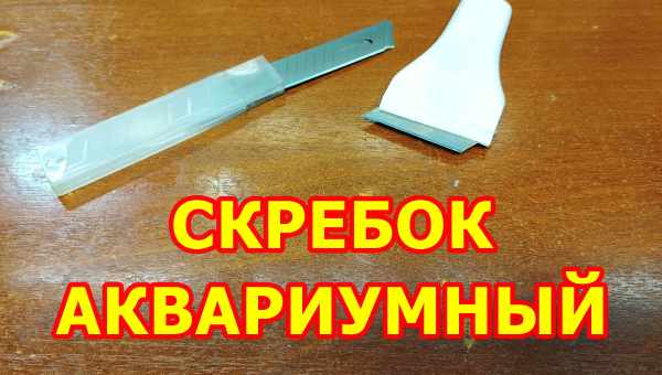 Выбираем скребок для аквариума