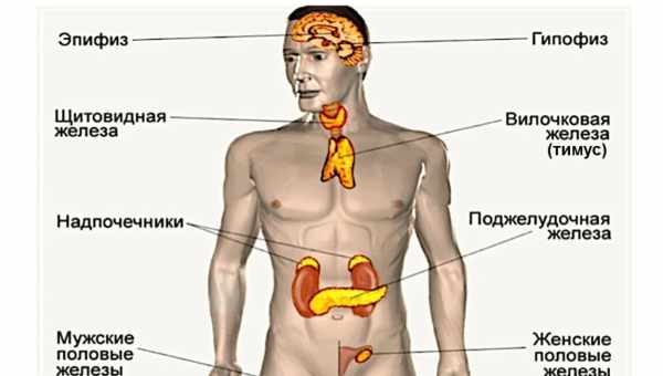 6G: що це таке і коли очікувати