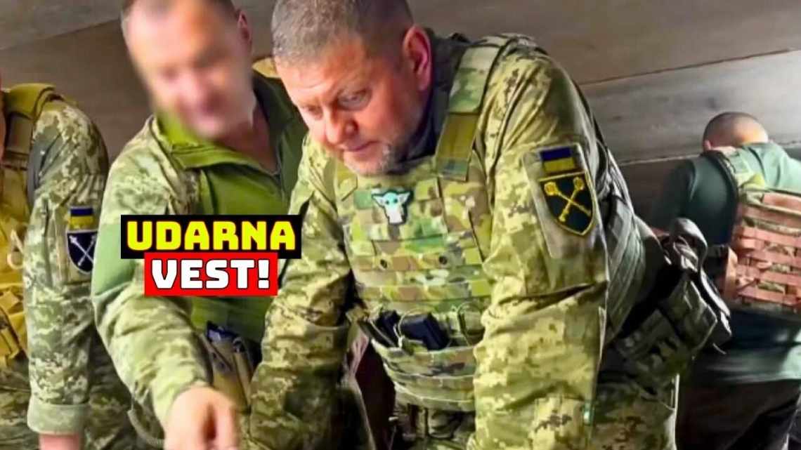 Нова стратегія боротьби з раком випробувана на мишах