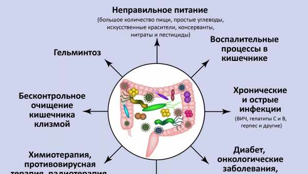 Мікрофлора контролює людську популяцію